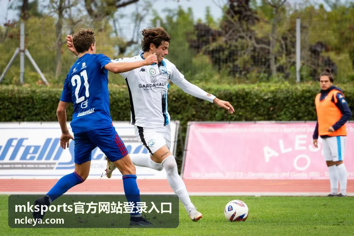 mksports官方网站登录入口赛后数据汇总封面