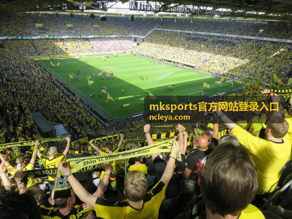 mksports官方网站登录入口赛事高峰期通道状态封面